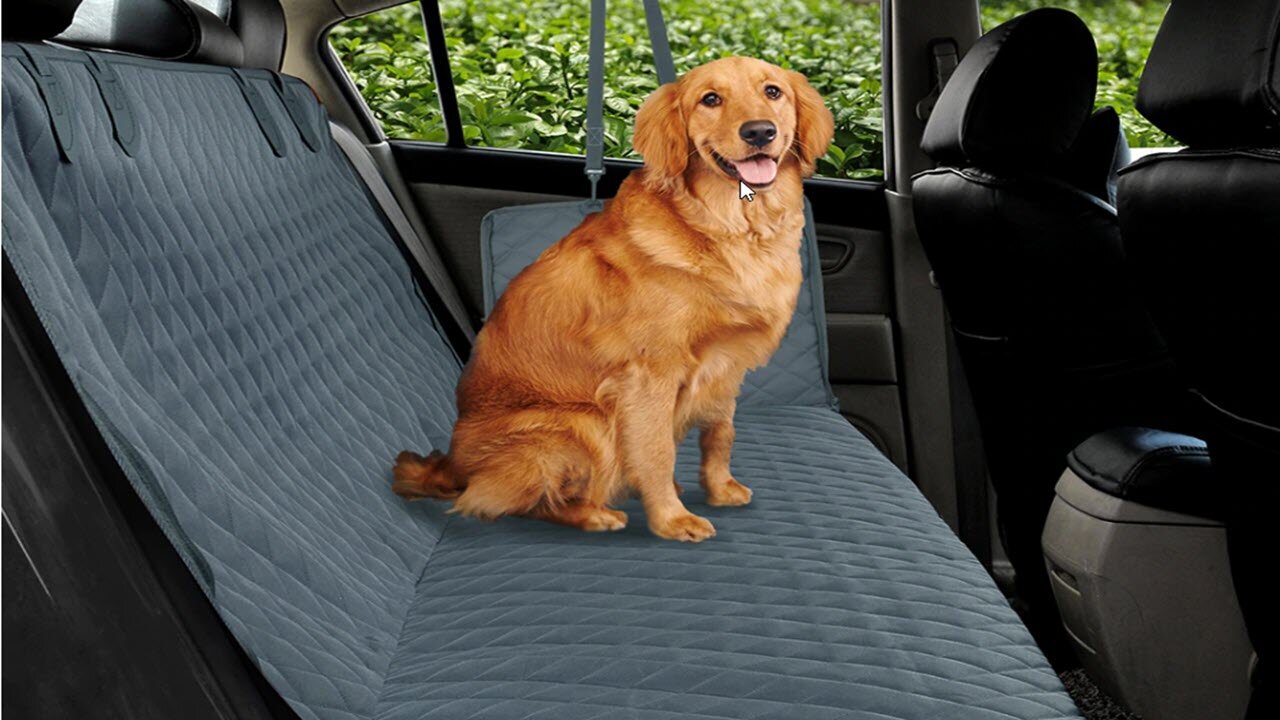 Prodigen Dog Car Seat Cover Waterproof Pet Transport Dog