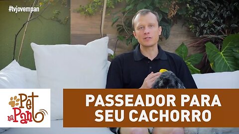 Pet na Pan #37: 3 dicas para escolher um passeador para seu cachorro