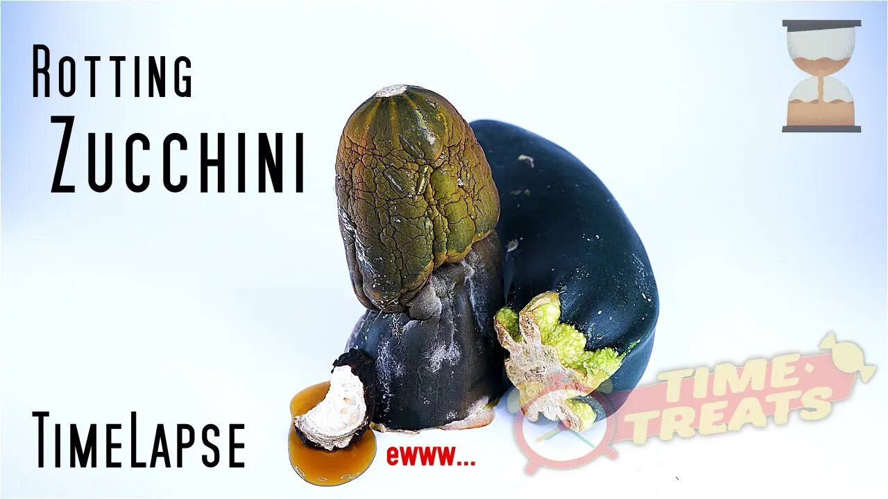 Rotting Zucchini - Vegetable Decomposition Time Lapse