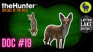 The Hunter: Call of the Wild, Doc #19 Layton Lakes (PS5 4K)