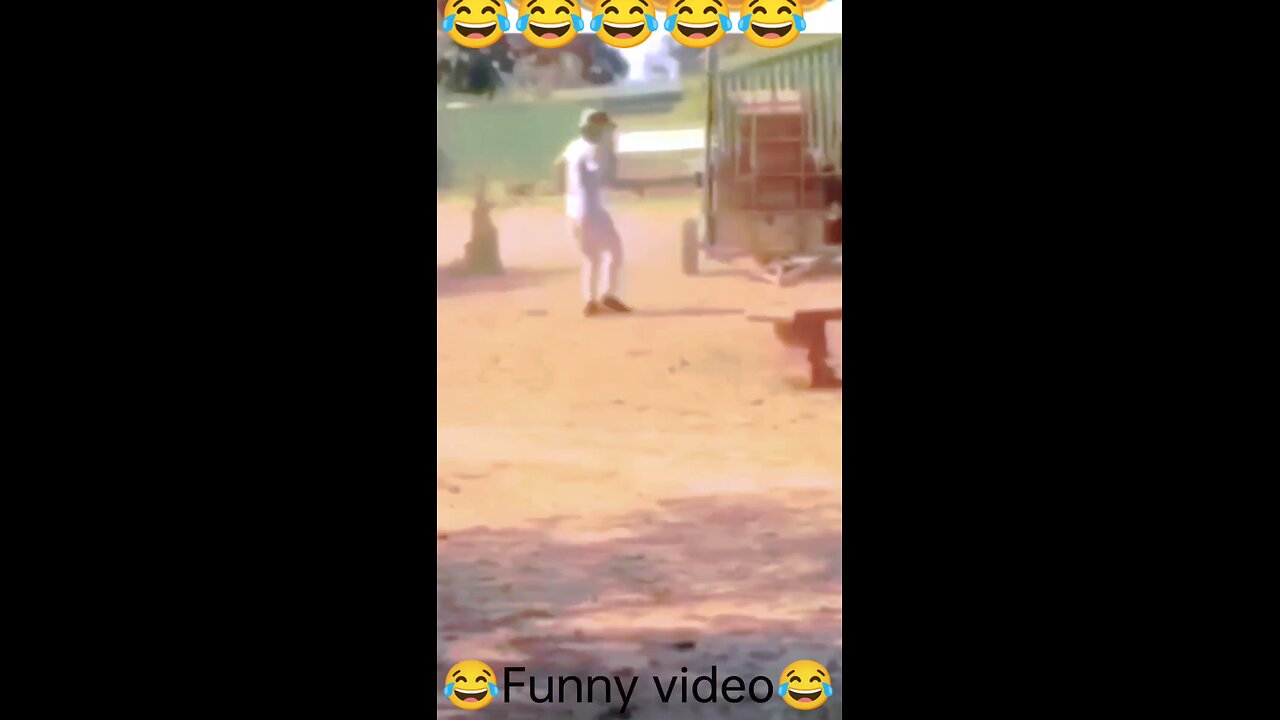 Funny video