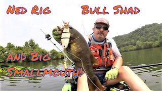 Ned Rigs to Bull Shad, Smallmouth Love to Eat!