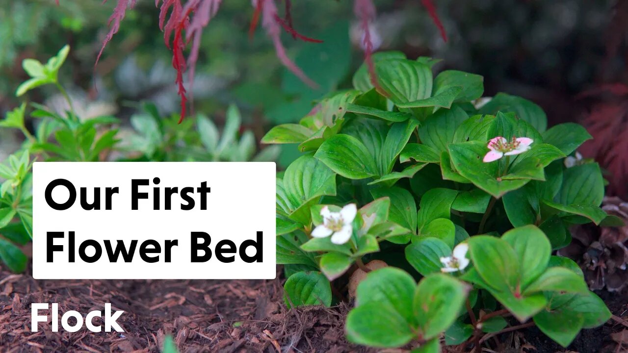 Planting Our FIRST FLOWER BED — Ep. 029