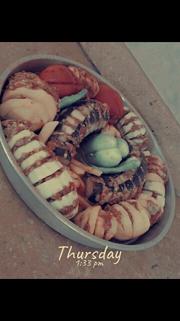 to cook طبخات عربيه