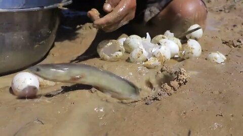 Unbelievable Fishing Technique | Best Underground Fishing With Eggs Catch Fish in Hole