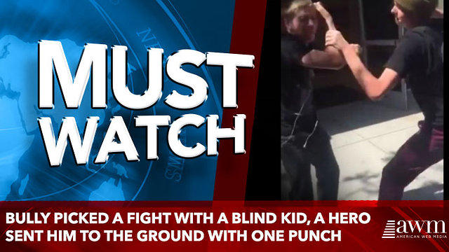 bully picked a fight with a blind kid, a hero sent him to the ground with one punch