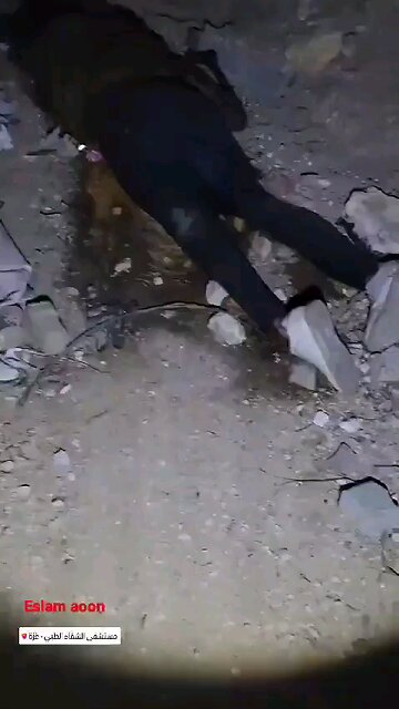 civilians and medical personnel, who were executed by the Israeli forces near Al-Shifa Hospital Gaza