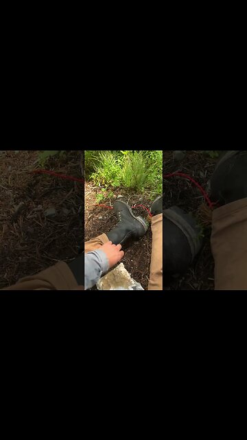 Day 6 Update: Flathead National Forest