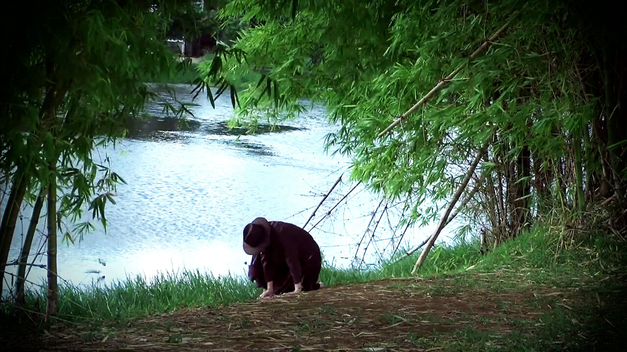 O Lago, Bambus e um Peixe