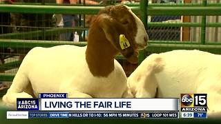The Arizona State Fair is more than just an event, it's a tradition