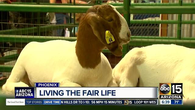 The Arizona State Fair is more than just an event, it's a tradition