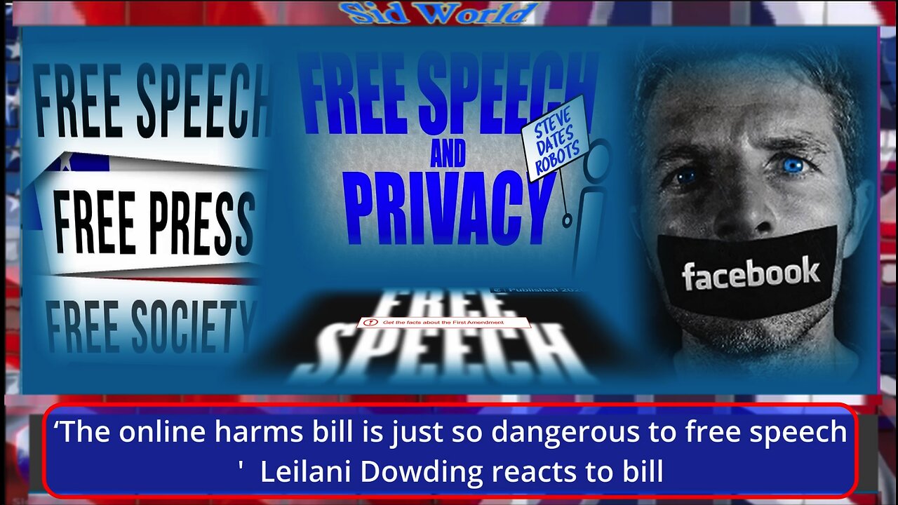 ‘The online harms bill is just so dangerous to free speech' Leilani Dowding reacts to bill