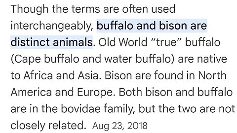 buffalo and bison are distinct animal