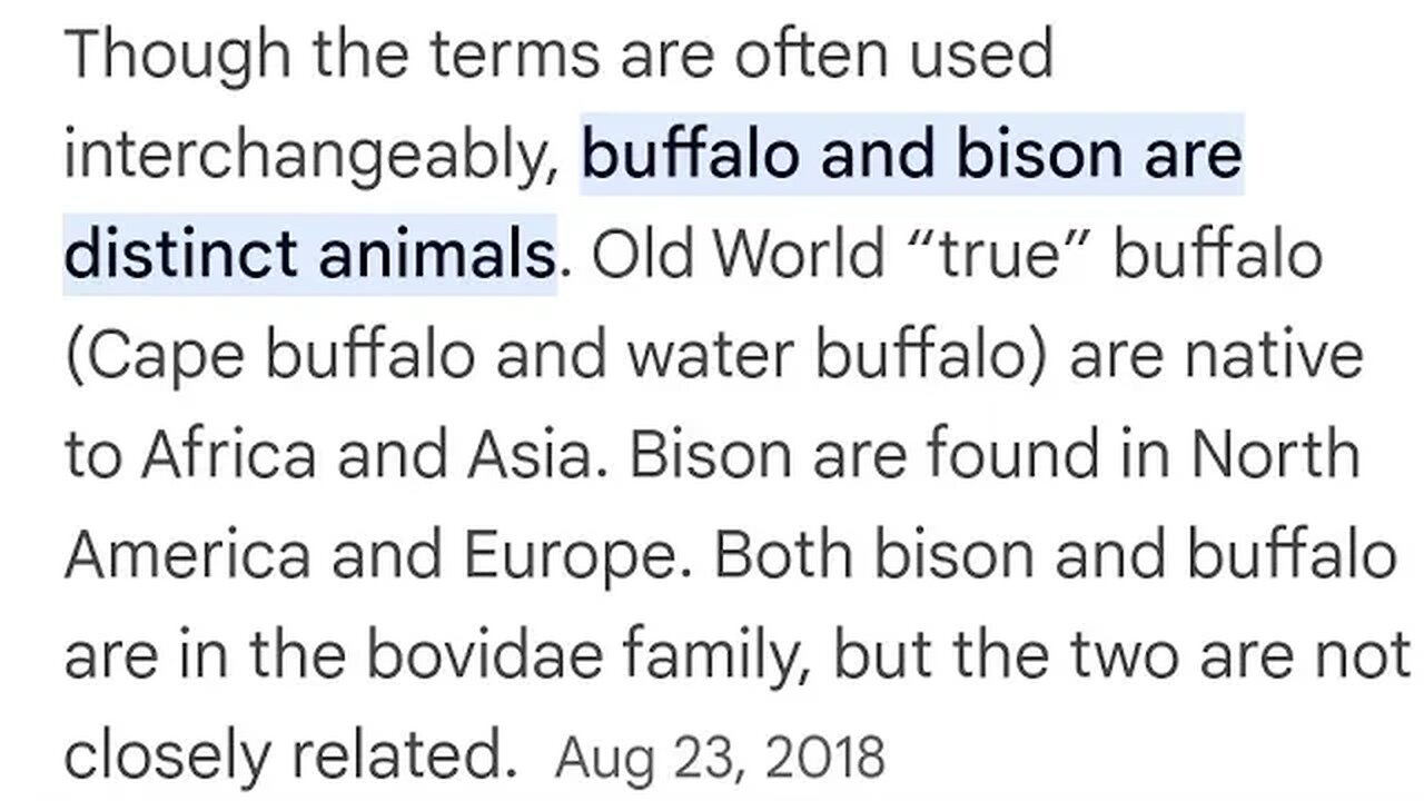 buffalo and bison are distinct animal