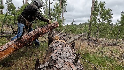 Preparing the Forest Service Grazing Permits