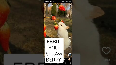 EBBIT AND STRAWBERRY
