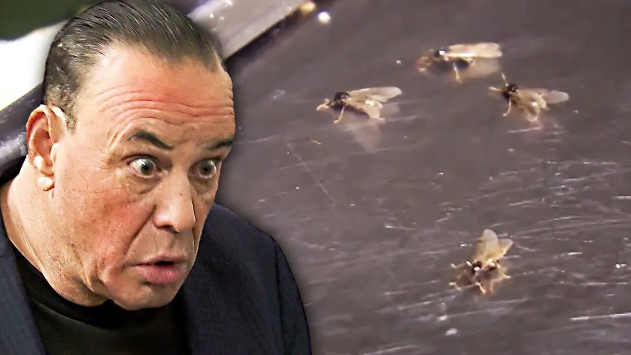 This Is The GROSSEST Kitchen EVER On Bar Rescue!