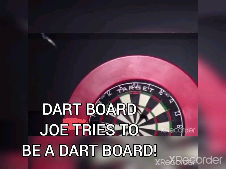 DART BOARD JOE