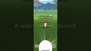 Shiny Compilation