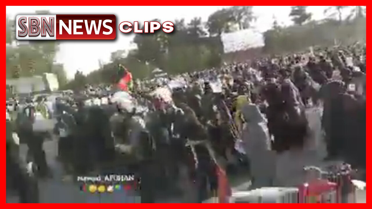 Taliban Crackdown on Protests in Herat and Kabul After Announcinch "No Illegal Protests - 3500