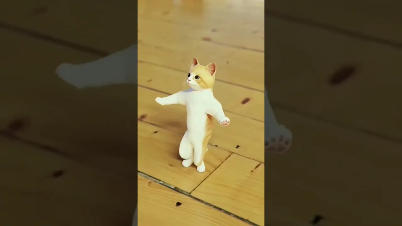 Cat dance #shorts #youtubeshorts #animals #cat