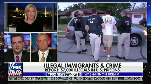 Fox Host Gives up as Unstoppable Army Col. Skewers Immigrant Activist