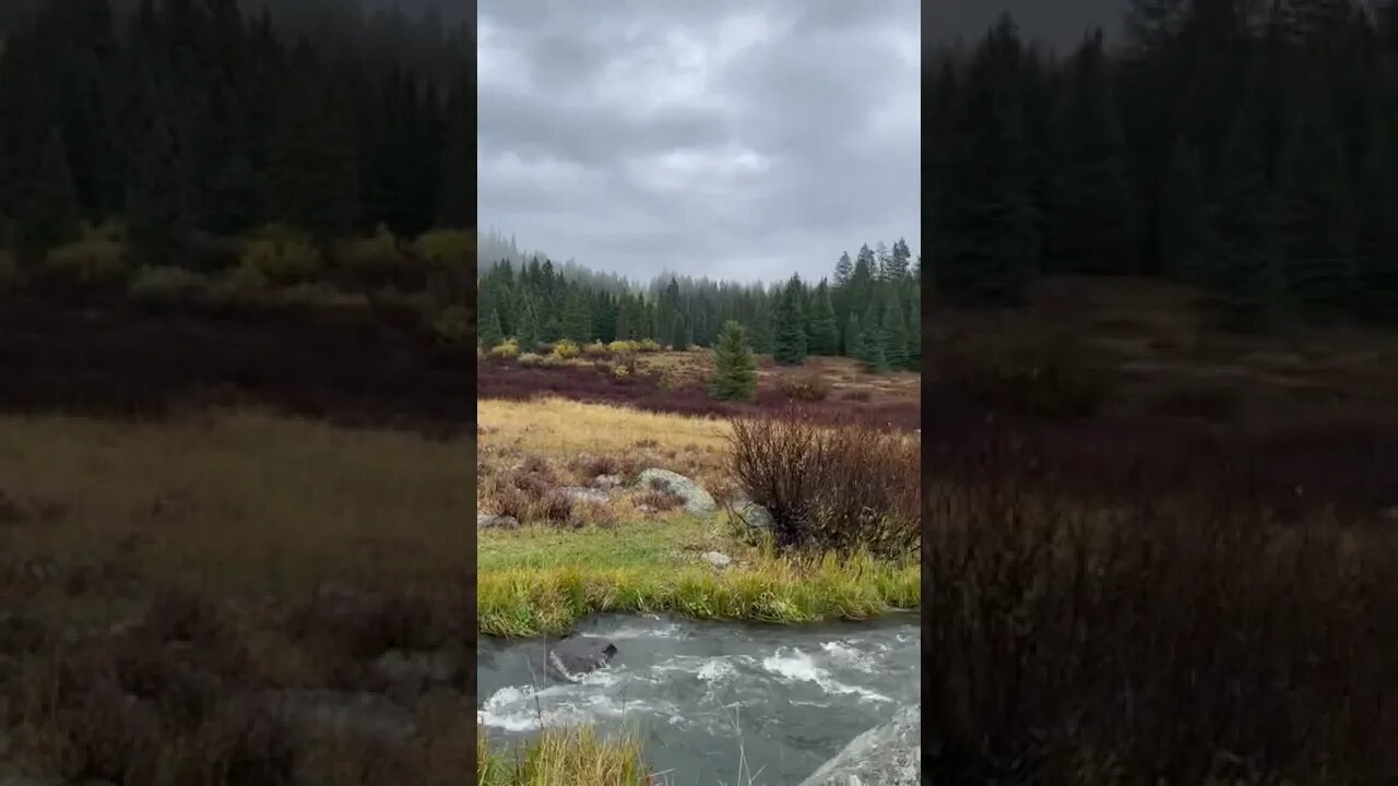 Fall in the Rocky Mountains is Amazing and so is the Fishing!