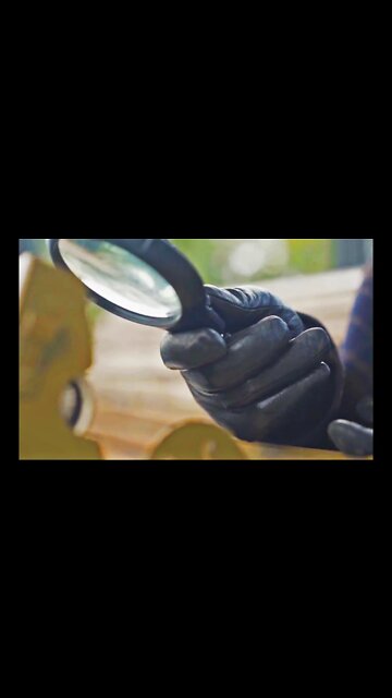 UFO Photo - Avensa Airliner (Cryptonarium Elements) #Shorts