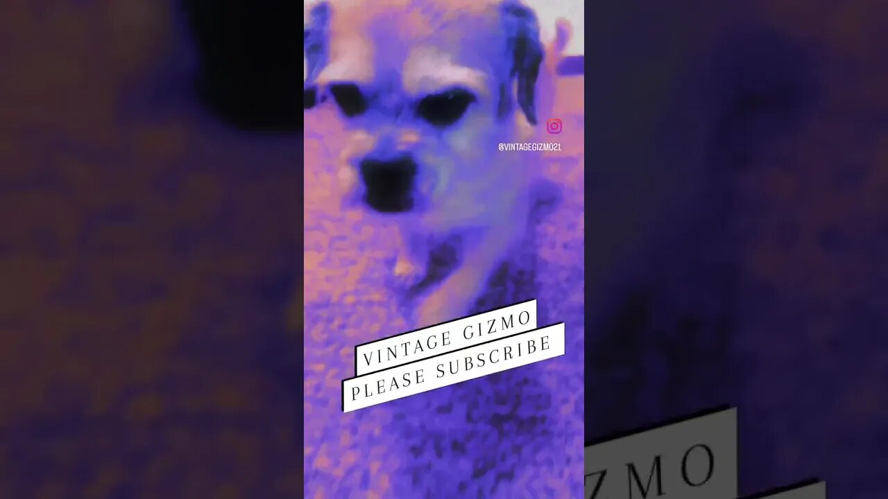 Levitate Gizmo