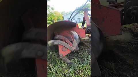 30 year Barn Find CASE 446 with the J-74 Rototiller #tractors #caseagriculture #case #merica #garden