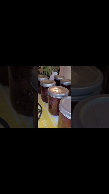 Canning Cranberry Jam