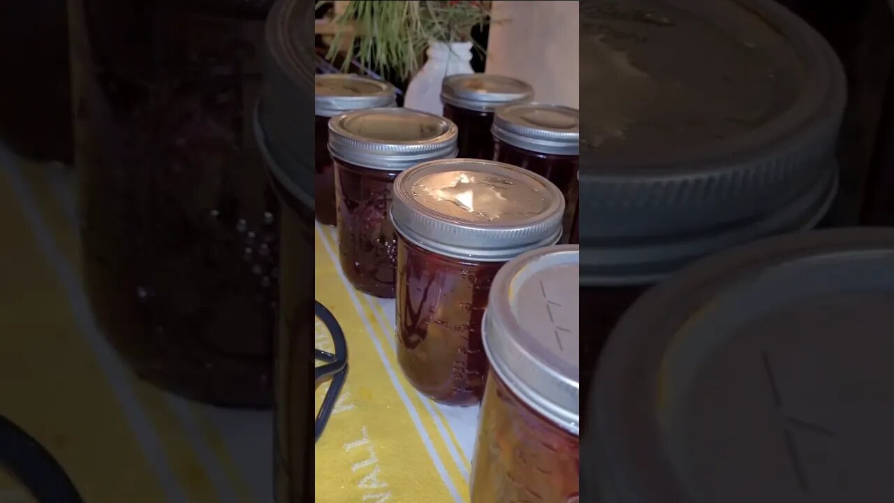 Canning Cranberry Jam