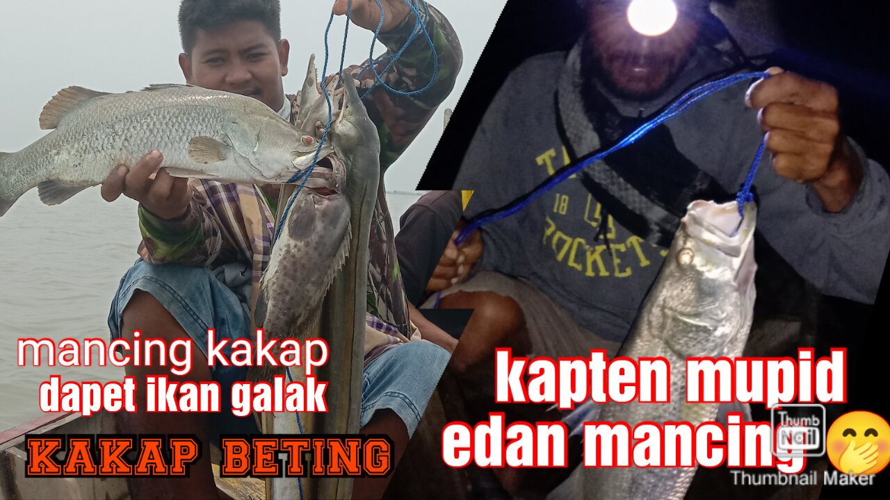 Mancing kakap barramundi muara gembong bekasi