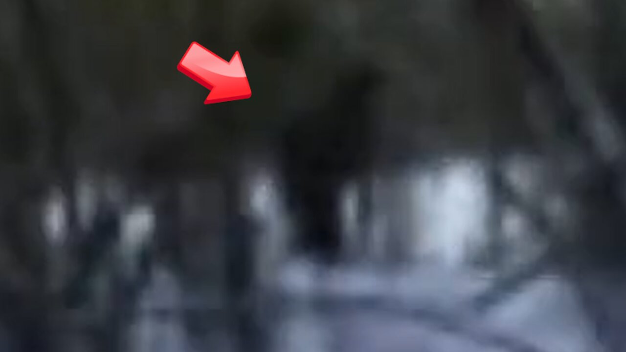 Is the creature the child found Bigfoot?