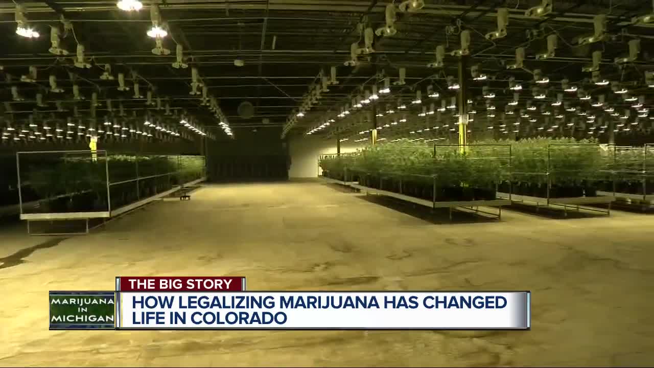 This is how legal marijuana changed Colorado and could change Michigan