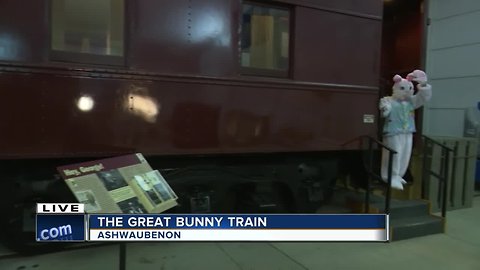 The Great Bunny Train