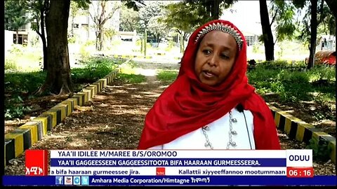 AMECO HIBIR: Yaa'ii Gaggeesseen Gaggeessitoota Bifa Haaraan Gurmeesseera 28/01/2016