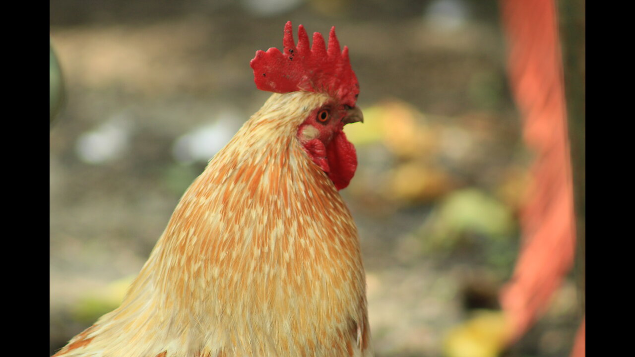 Honor the teachings of God