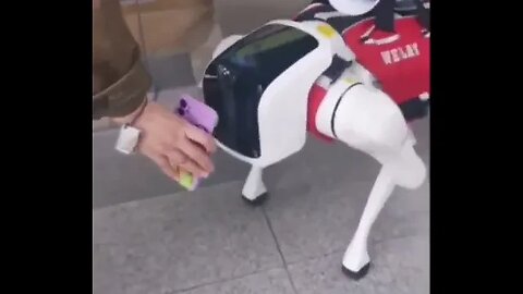 🇨🇳 China’s robot dog that guards buildings and scans ID’s!