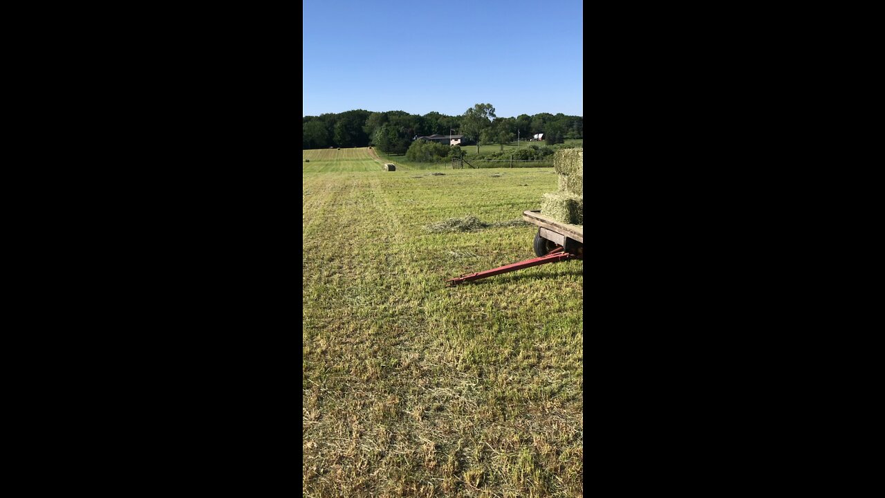 When people ask so what did you do last night