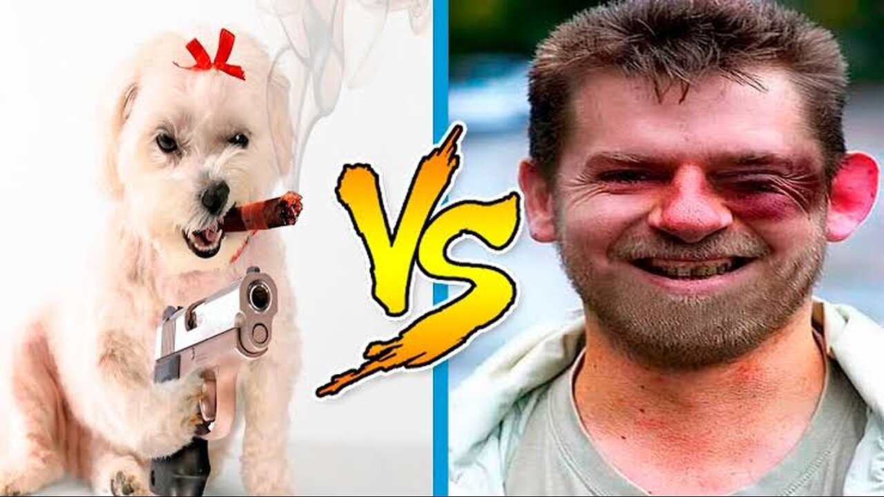 Funny animals vs people video🤔😂😂😂😂