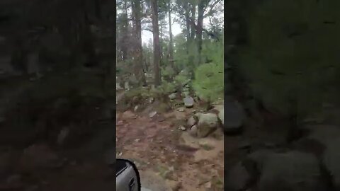3 of 3 woods in Walker AZ