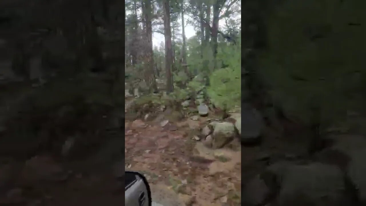 3 of 3 woods in Walker AZ