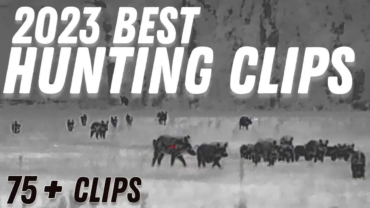 2023 Best Hunting Clips | 75 + Exciting Hunting Clips!