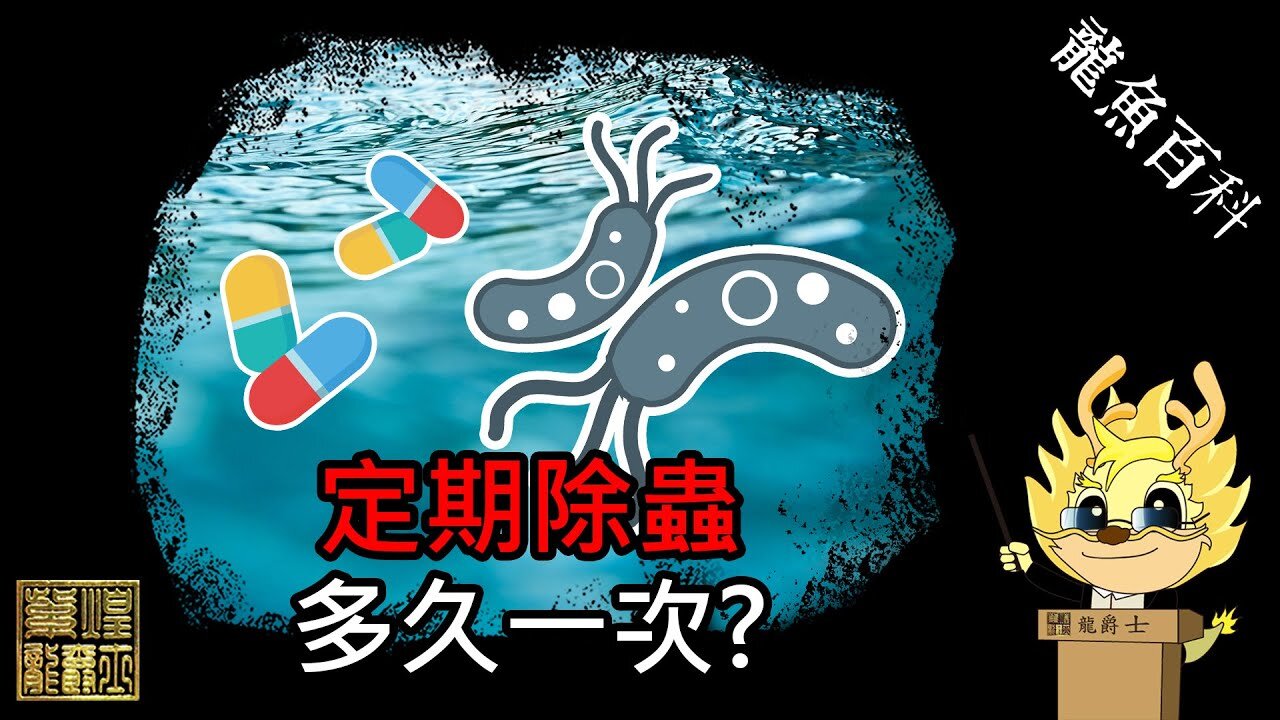 【龍爵士】水族百科-定期除蟲，多久一次