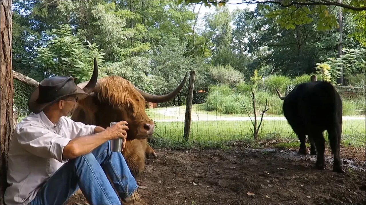 bigger brush