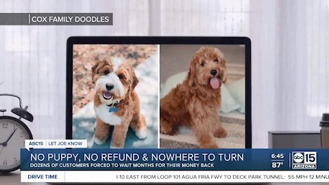 No puppy, no refund, and nowhere else to turn for help