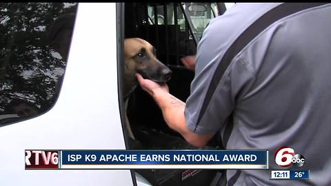 K-9 Apache earns national award