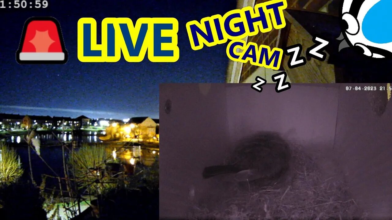 🚨07/04/23(NightPt2)🏴Bird Nest Box - Suburban Blue Tit Overnight Roosting Stage