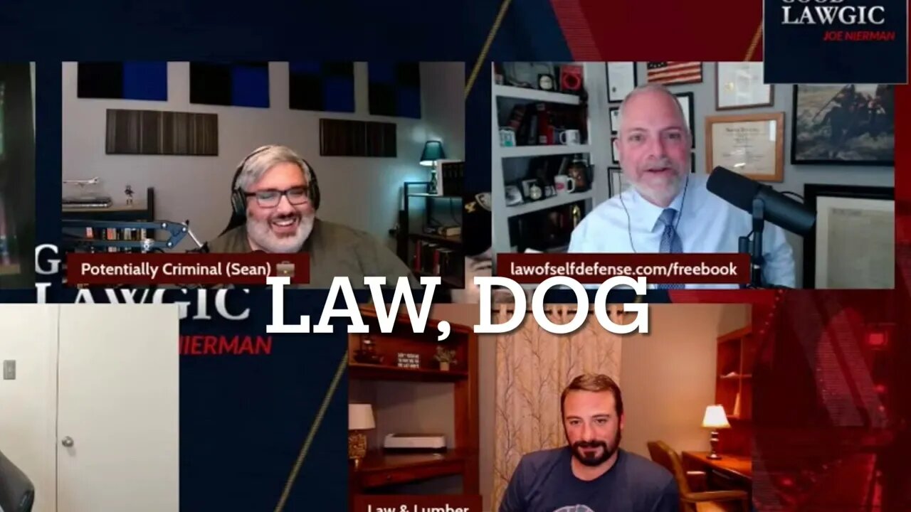 Potentially Criminal Rants about Lawyer, Dog | Due Process and an Unjust System | LAWTUBE